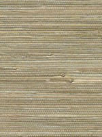 Iriga Platinum Grasscloth Wallpaper 40180060 by Advantage Wallpaper for sale at Wallpapers To Go