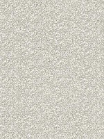 Poe Taupe Pebble Wallpaper 402008307 by Advantage Wallpaper for sale at Wallpapers To Go