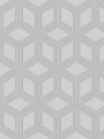 Xander Grey Glam Geometric Wallpaper 402084209 by Advantage Wallpaper for sale at Wallpapers To Go