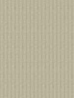 Owen Light Brown Ikat Stripes Wallpaper 402095307 by Advantage Wallpaper for sale at Wallpapers To Go