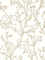 Koura Cream Budding Branches Wallpaper 401986454 by A Street Prints Wallpaper for sale at Wallpapers To Go