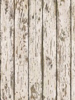 Harley Khaki Weathered Wood Wallpaper 312313282 by Chesapeake Wallpaper for sale at Wallpapers To Go