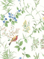 Imperial Garden Multicolor Botanical Wallpaper 312324173 by Chesapeake Wallpaper for sale at Wallpapers To Go