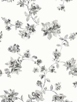 Cyrus Charcoal Festive Floral Wallpaper 312324482 by Chesapeake Wallpaper for sale at Wallpapers To Go
