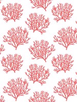 Coastal Coral Reef Vermillion Wallpaper NW38001 by NextWall Wallpaper for sale at Wallpapers To Go