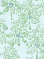 Palm Beach Baby Blue and Seafoam Wallpaper NW40002 by NextWall Wallpaper for sale at Wallpapers To Go