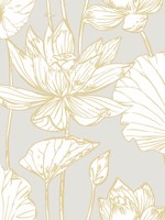 Lotus Floral Metallic Gold and Gray Wallpaper NW33118 by NextWall Wallpaper for sale at Wallpapers To Go