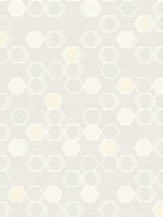 Honeycomb Geometric Metallic Wallpaper MG41005 by Pelican Prints Wallpaper for sale at Wallpapers To Go