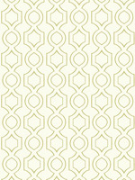 Handdrawn Geometric Wallpaper TP80204 by Pelican Prints Wallpaper for sale at Wallpapers To Go