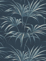 Open Palm Leaf Wallpaper TP80602 by Pelican Prints Wallpaper for sale at Wallpapers To Go