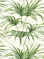 Open Palm Leaf Wallpaper TP80610 by Pelican Prints Wallpaper for sale at Wallpapers To Go