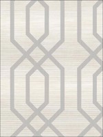 Geometric Trellis Stringcloth Metallics Textured Wallpaper JC21200 by Wallquest Wallpaper for sale at Wallpapers To Go