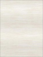 Stringcloth Textured Metallics Grasscloth Look Wallpaper JC21300 by Wallquest Wallpaper for sale at Wallpapers To Go