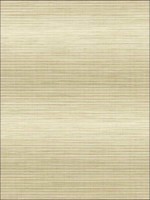 Stringcloth Grasscloth Look Metallics Textured Wallpaper JC21305 by Wallquest Wallpaper for sale at Wallpapers To Go