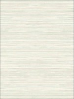 Grasscloth Look Textured Metallics Wallpaper RC10308 by Wallquest Wallpaper for sale at Wallpapers To Go