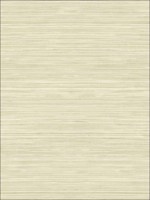 Grasscloth Look Metallics Textured Wallpaper RC10315 by Wallquest Wallpaper for sale at Wallpapers To Go