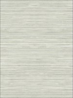 Grasscloth Look Textured Metallics Wallpaper RC10318 by Wallquest Wallpaper for sale at Wallpapers To Go