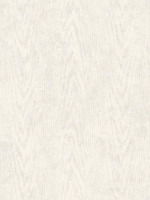 Wood Texture Wallpaper SE31005 by Pelican Prints Wallpaper for sale at Wallpapers To Go
