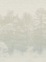 Mist Wallpaper WMAFJ050200 by Mayflower Wallpaper for sale at Wallpapers To Go