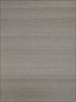 Silks French Grey Wallpaper CB60800 by Carl Robinson Wallpaper for sale at Wallpapers To Go