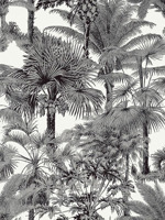 Palm Botanical Black Wallpaper T10102 by Thibaut Wallpaper for sale at Wallpapers To Go
