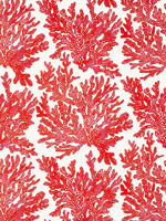 Marine Coral Coral Wallpaper T10120 by Thibaut Wallpaper for sale at Wallpapers To Go