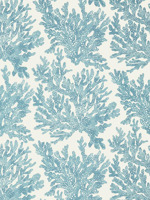 Marine Coral Spa Blue Wallpaper T10122 by Thibaut Wallpaper for sale at Wallpapers To Go
