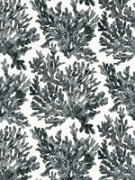 Marine Coral Black Wallpaper T10123 by Thibaut Wallpaper for sale at Wallpapers To Go