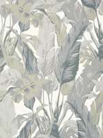Travelers Palm Grey Wallpaper T10129 by Thibaut Wallpaper for sale at Wallpapers To Go