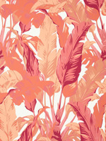 Travelers Palm Pink and Coral Wallpaper T10130 by Thibaut Wallpaper for sale at Wallpapers To Go