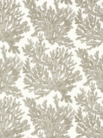 Marine Coral Beige Wallpaper T10140 by Thibaut Wallpaper for sale at Wallpapers To Go