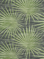 Palm Frond Black and Green Wallpaper T10143 by Thibaut Wallpaper for sale at Wallpapers To Go