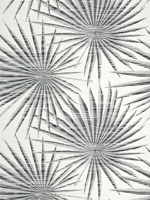 Palm Frond Black and White Wallpaper T10145 by Thibaut Wallpaper for sale at Wallpapers To Go