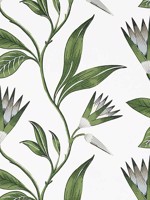 Cleo Vine Green and White Wallpaper AT9622 by Anna French Wallpaper for sale at Wallpapers To Go