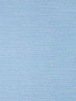 Ramie Weave Sky Blue Wallpaper AT9885 by Anna French Wallpaper for sale at Wallpapers To Go