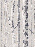 Birch Frost Wallpaper FJ41610 by Mayflower Wallpaper for sale at Wallpapers To Go
