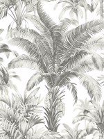 Palms Wallpaper CN30708 by Wallquest Wallpaper for sale at Wallpapers To Go
