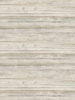 Washed Wood Wallpaper CN31005 by Wallquest Wallpaper for sale at Wallpapers To Go