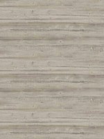 Washed Wood Wallpaper CN31006 by Wallquest Wallpaper for sale at Wallpapers To Go