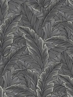 Tropical Leaves Wallpaper UK10004 by Seabrook Wallpaper for sale at Wallpapers To Go