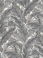 Tropical Leaves Wallpaper UK10005 by Seabrook Wallpaper for sale at Wallpapers To Go