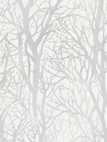 Yasuo Cream Tree Branch Wallpaper 4035300941 by Advantage Wallpaper for sale at Wallpapers To Go