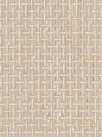 Aki Silver Paper Weave Basketweave Grasscloth Wallpaper 297254774 by A Street Prints Wallpaper for sale at Wallpapers To Go