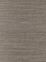 Jiao Metallic Sisal Grasscloth Wallpaper 297265409 by A Street Prints Wallpaper for sale at Wallpapers To Go