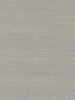 Liaohe Silver Raffia Grasscloth Wallpaper 297280032 by A Street Prints Wallpaper for sale at Wallpapers To Go