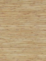 Shuang Light Brown Handmade Grasscloth Wallpaper 297286107 by A Street Prints Wallpaper for sale at Wallpapers To Go