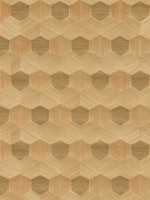 Linzhi Copper Sisal Grasscloth Inlay Wallpaper 297286115 by A Street Prints Wallpaper for sale at Wallpapers To Go
