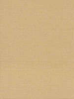 Maylin Gold Paper Weave Grasscloth Wallpaper 297286144 by A Street Prints Wallpaper for sale at Wallpapers To Go