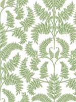 Royal Fern Damask Green Wallpaper DM4961 by York Wallpaper for sale at Wallpapers To Go