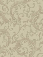 Noemi Taupe Acanthus Wallpaper 405824831 by Brewster Wallpaper for sale at Wallpapers To Go